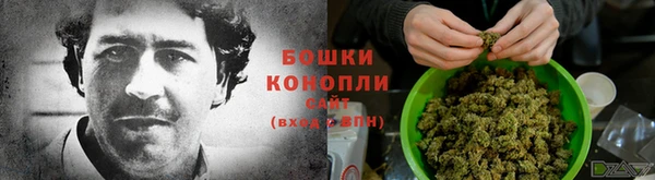 амф Кодинск