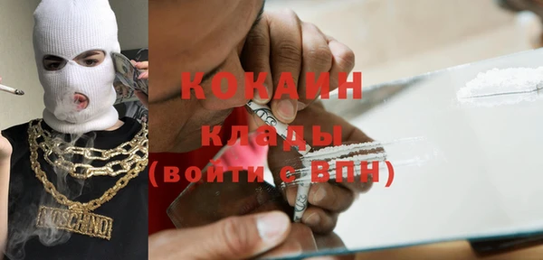 сатива Козловка