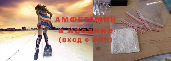 сатива Козловка