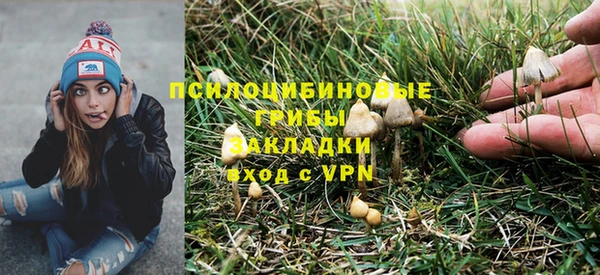 сатива Козловка