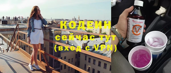 сатива Козловка