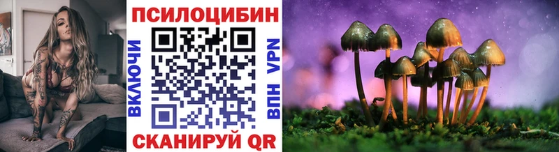 Купить  Верещагино  Псилоцибиновые грибы прущие грибы 